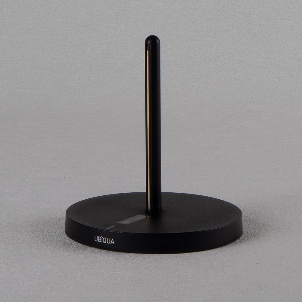 Ubiqua - Torus meervoudig laadstation